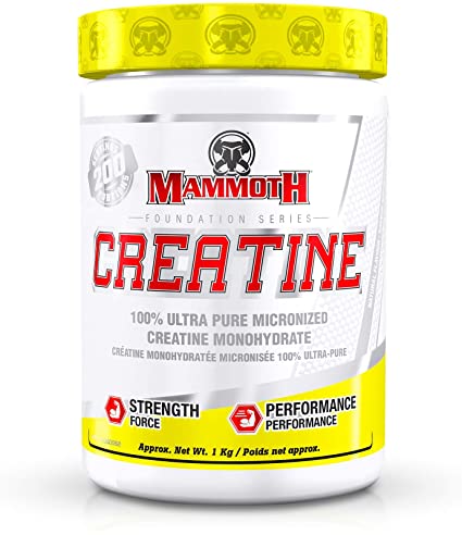 Mammoth Creatine 1kg