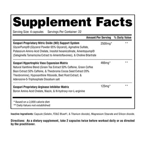 Gaspari - Plasma Jet Nitric Oxide Maximizer - 90 caps