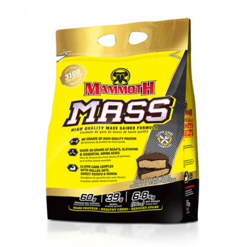 Mammoth Mass 15lbs