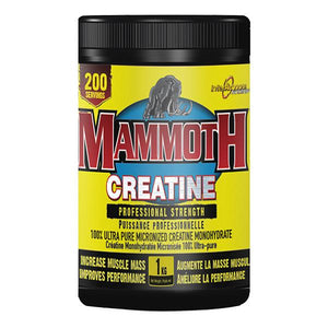 Mammoth Creatine 1kg